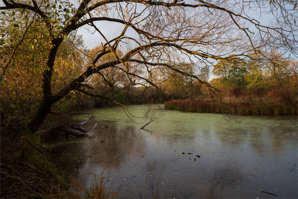 Фотографія на стариці / Микола Шахманцір / photographers.ua