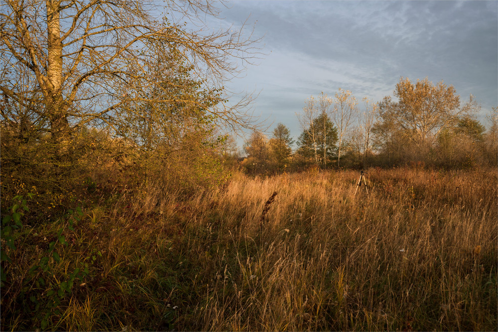 Фотографія ***  * / Микола Шахманцір / photographers.ua
