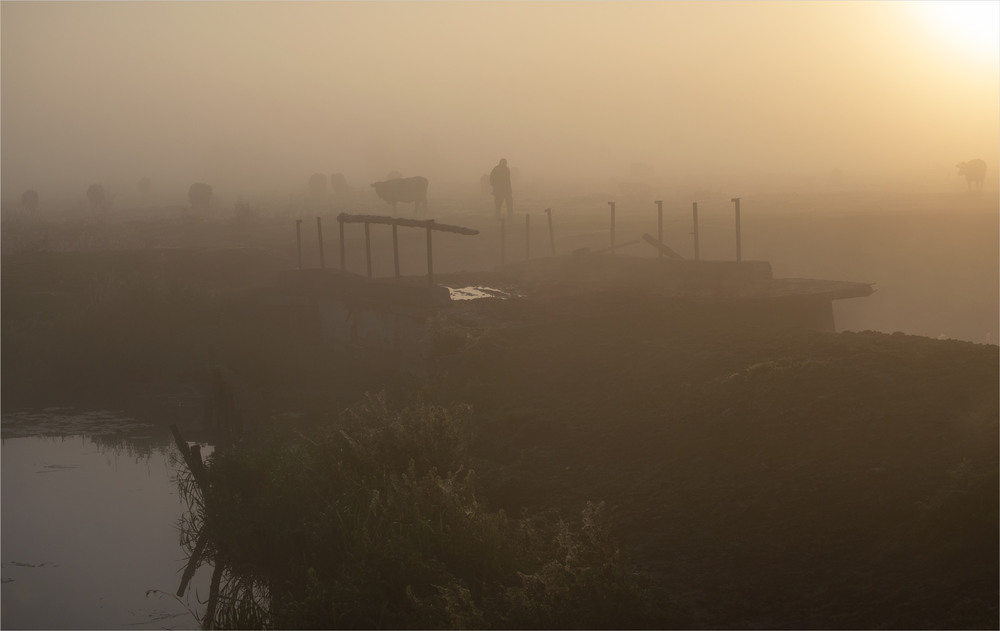 Фотографія на випас... / Микола Шахманцір / photographers.ua