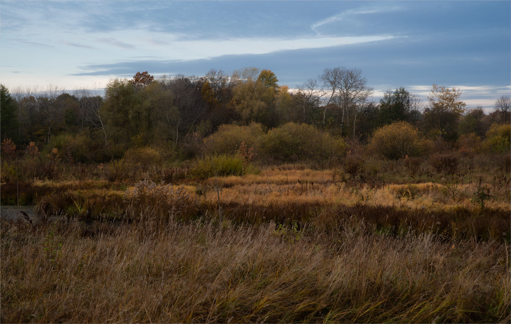 Фотографія *** / Микола Шахманцір / photographers.ua