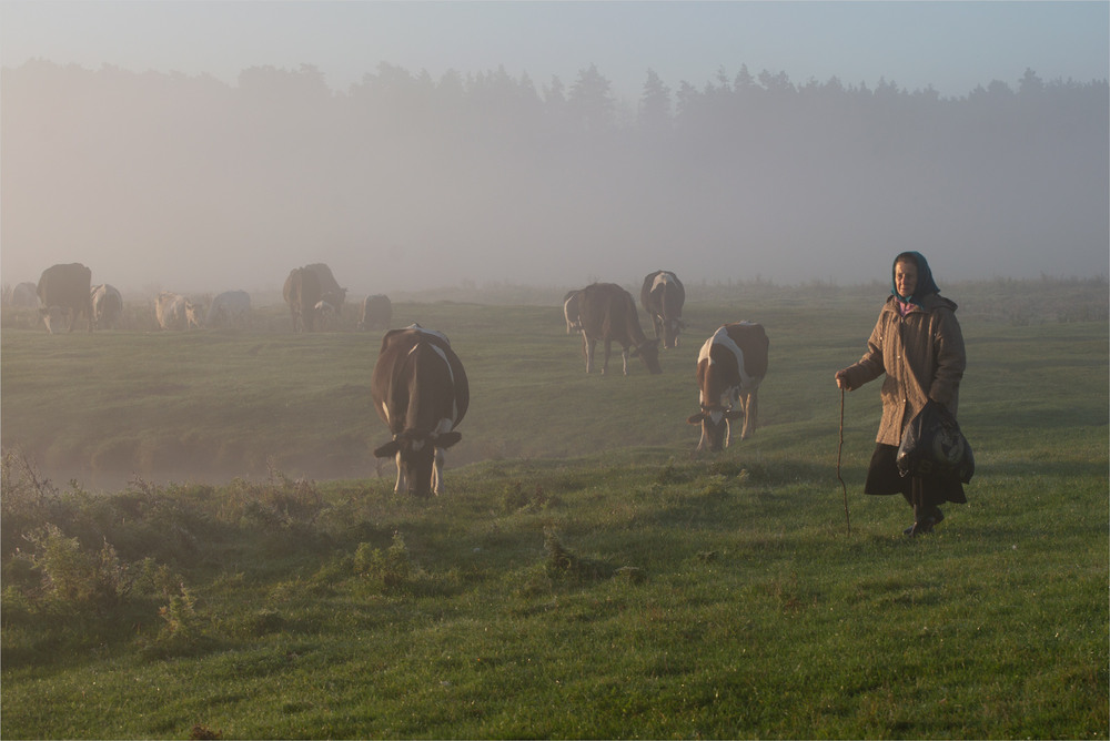 Фотографія на випасі... / Микола Шахманцір / photographers.ua