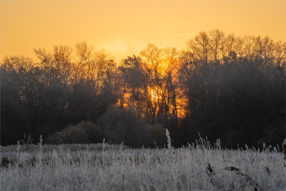 Фотографія сонце  зійде... / Микола Шахманцір / photographers.ua