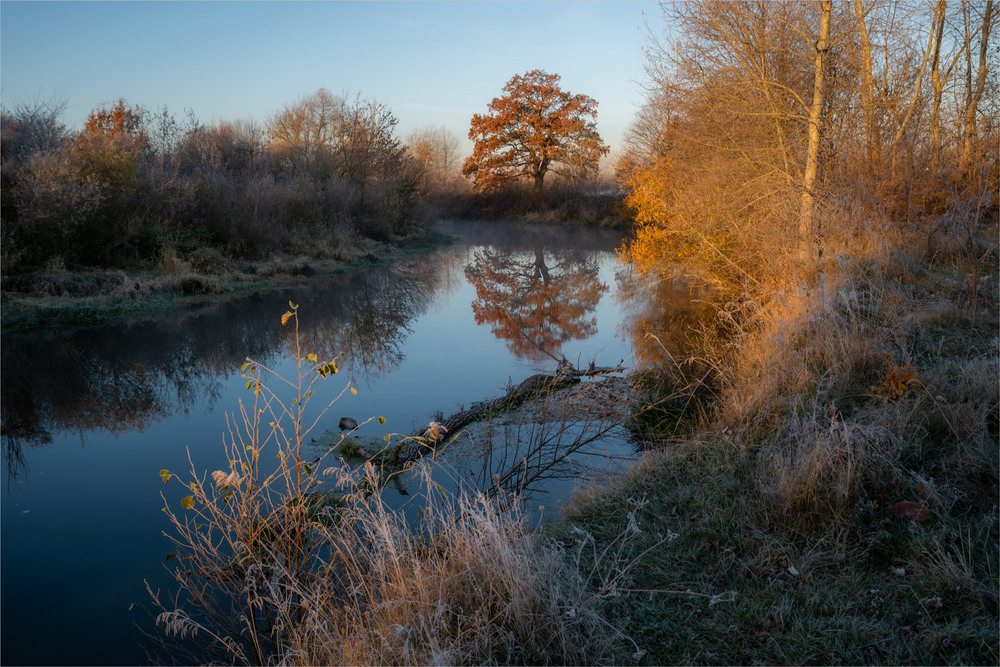 Фотографія * * * / Микола Шахманцір / photographers.ua