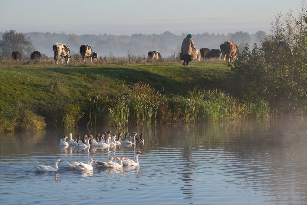 Фотографія світанкові історії... / Микола Шахманцір / photographers.ua