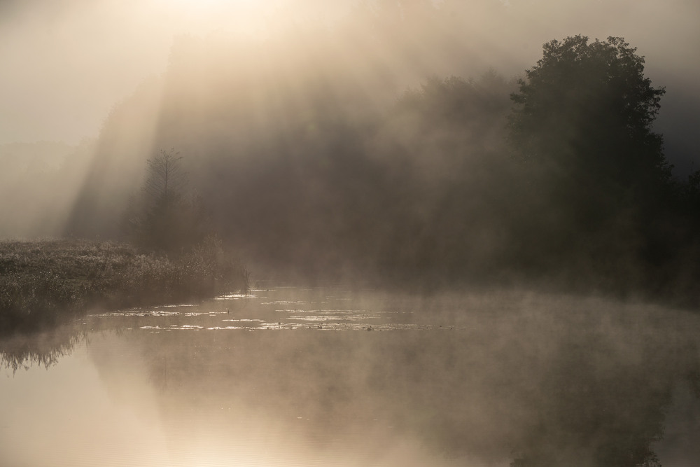 Фотографія .... / Микола Шахманцір / photographers.ua