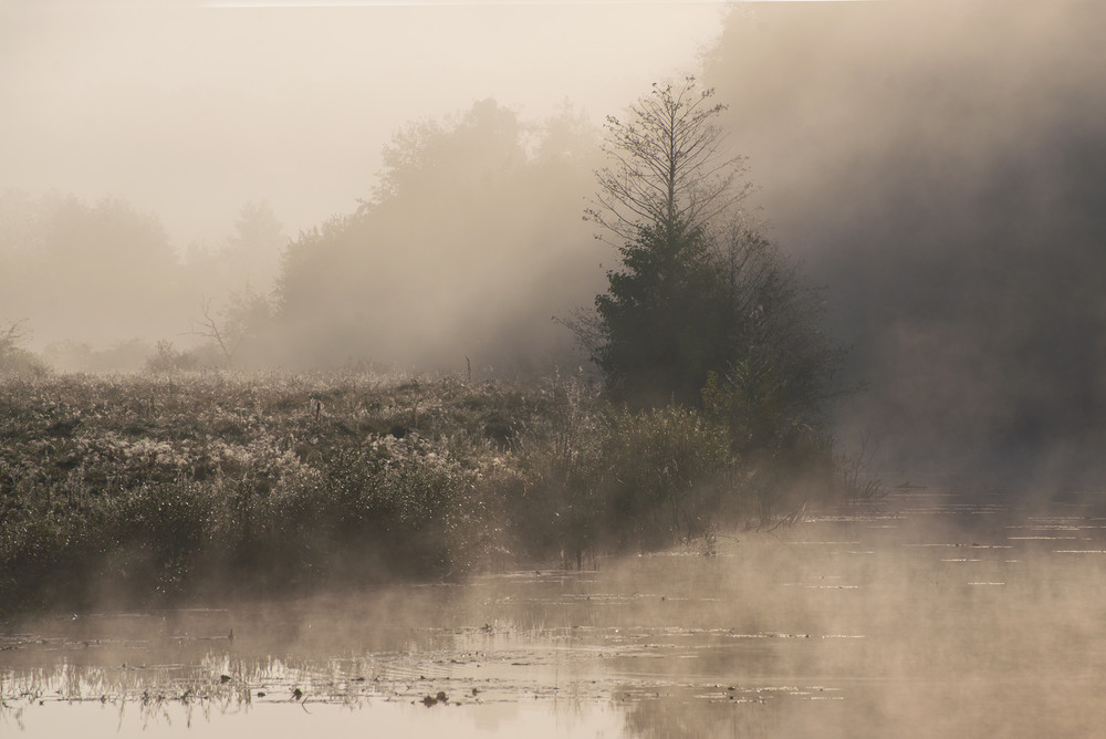 Фотографія ... / Микола Шахманцір / photographers.ua