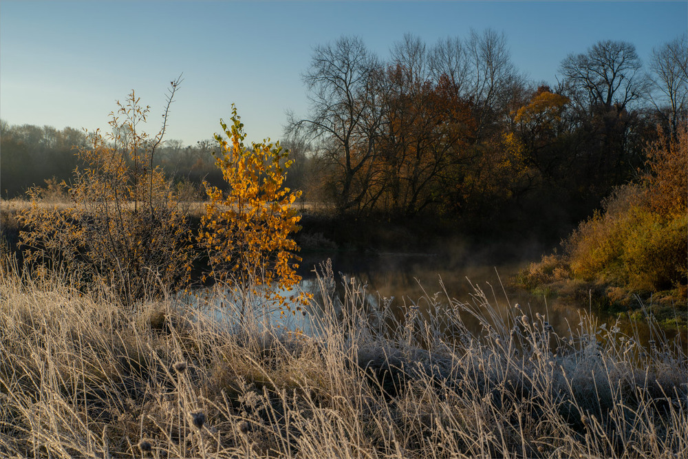 Фотографія золото з сивиною... / Микола Шахманцір / photographers.ua