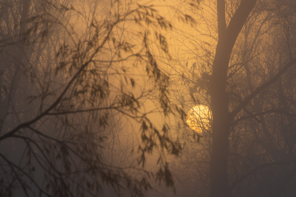 Фотографія *** / Микола Шахманцір / photographers.ua