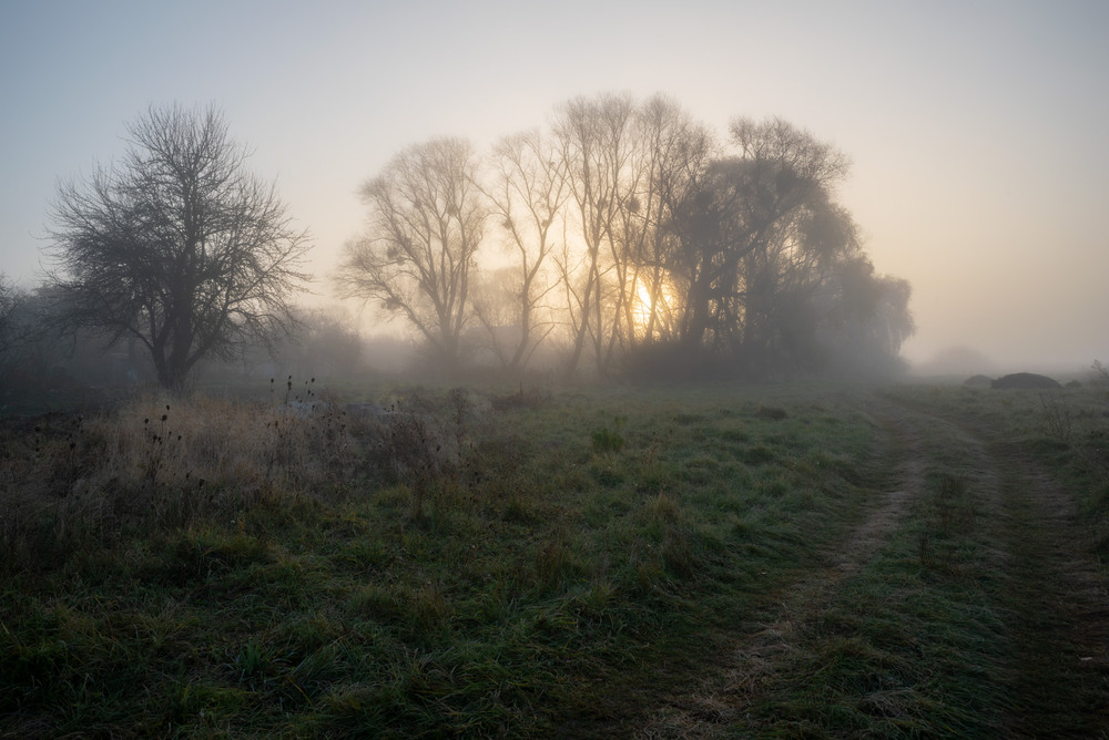 Фотографія **** / Микола Шахманцір / photographers.ua