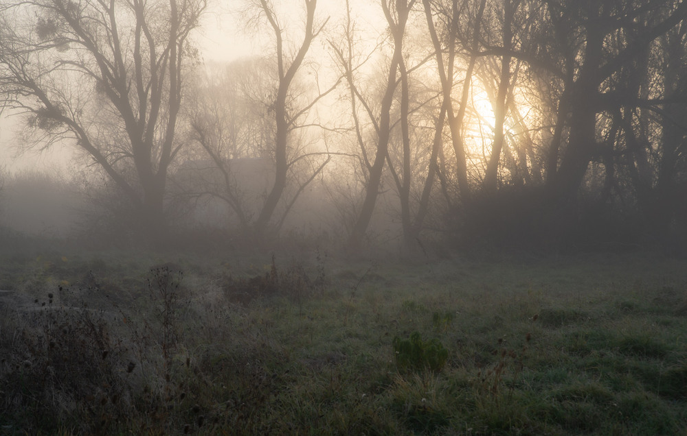 Фотографія **** / Микола Шахманцір / photographers.ua