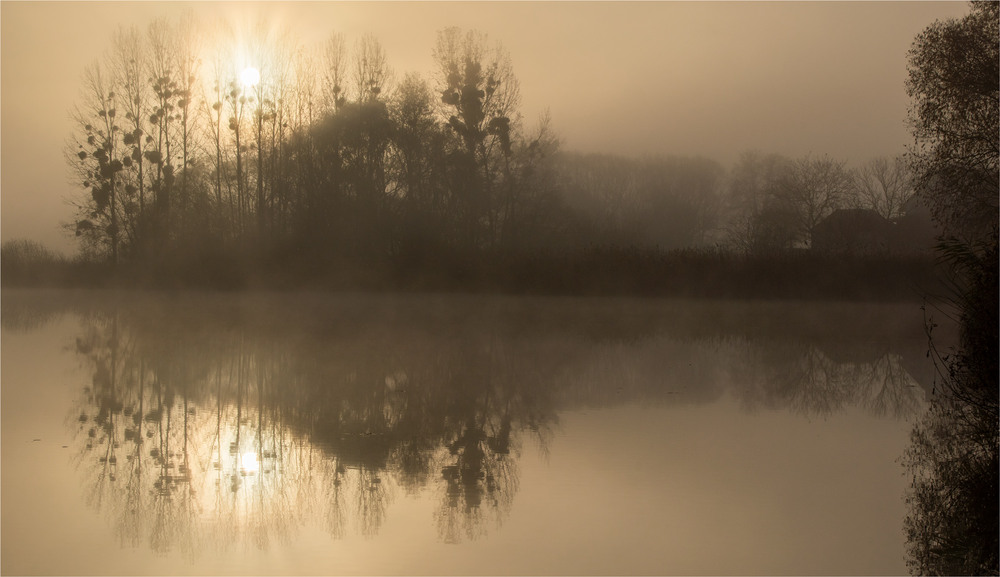 Фотографія **** / Микола Шахманцір / photographers.ua