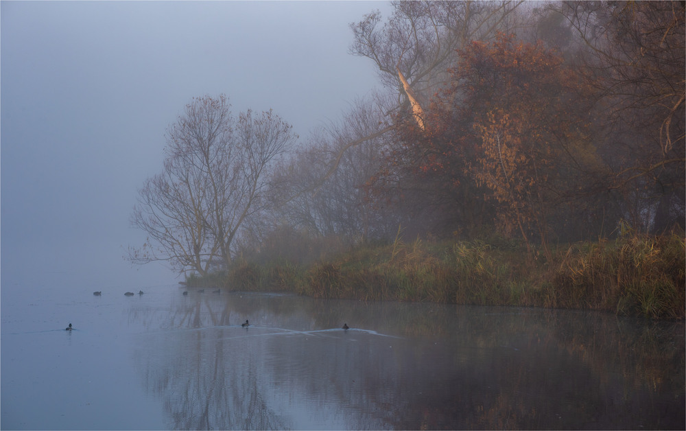 Фотографія *** / Микола Шахманцір / photographers.ua