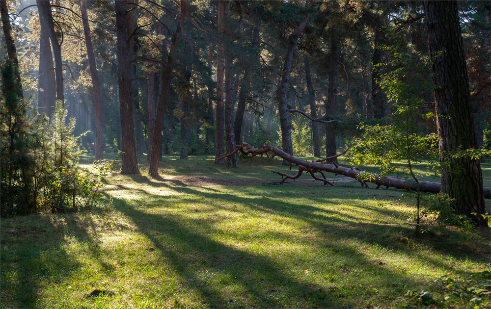 Фотографія **** / Микола Шахманцір / photographers.ua