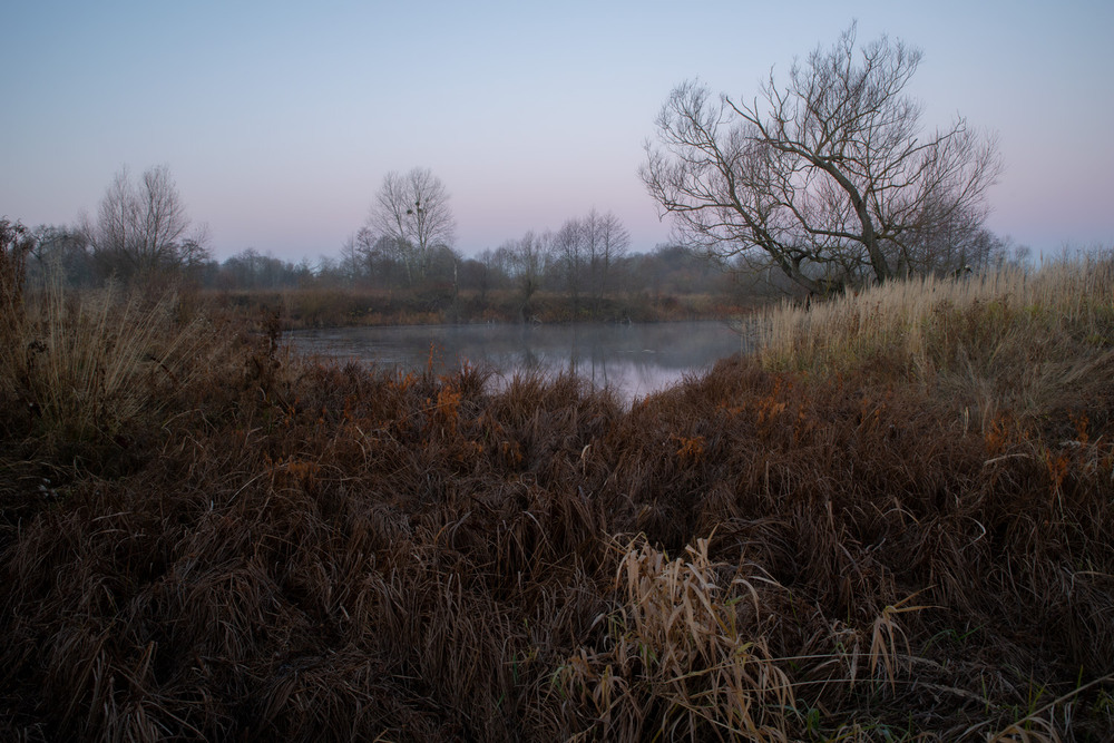 Фотографія *** / Микола Шахманцір / photographers.ua