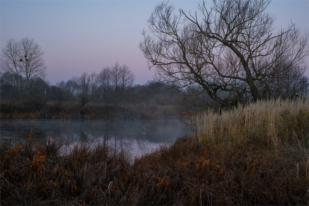 Фотографія **** / Микола Шахманцір / photographers.ua