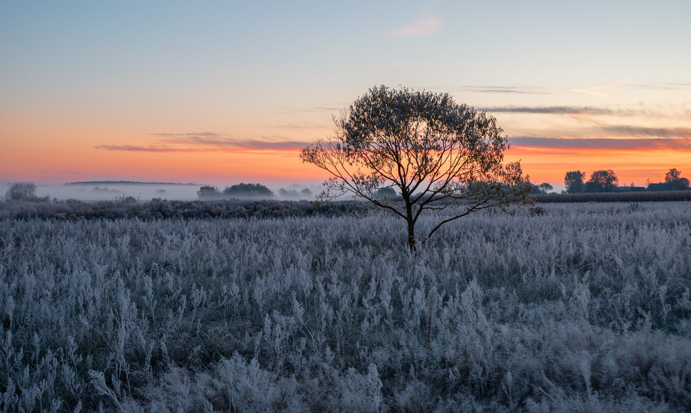 Фотографія світало... / Микола Шахманцір / photographers.ua