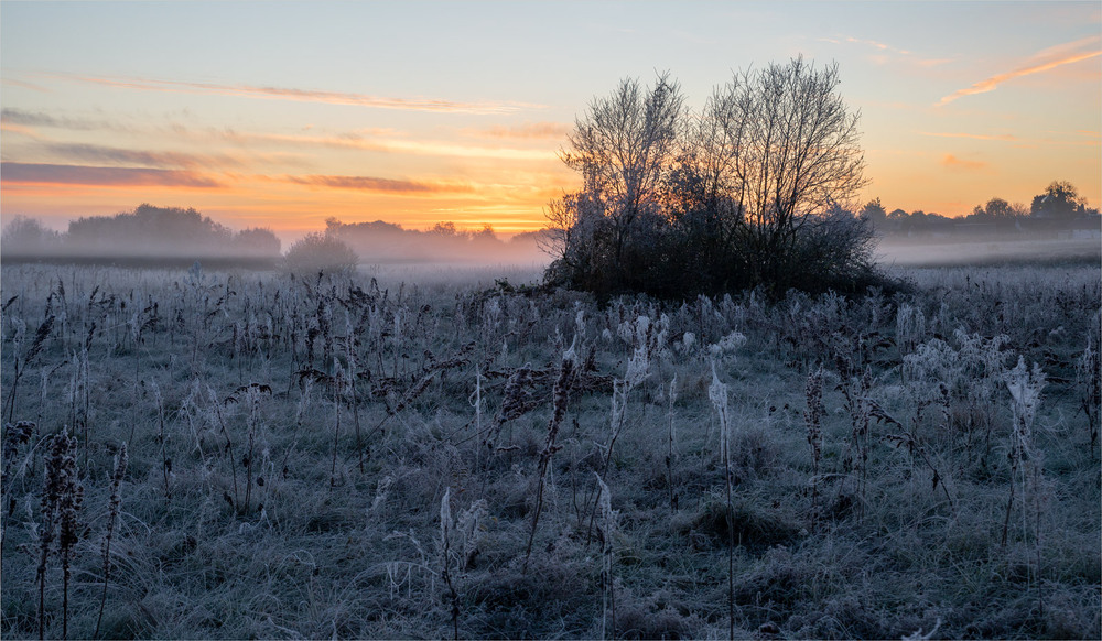 Фотографія **** / Микола Шахманцір / photographers.ua