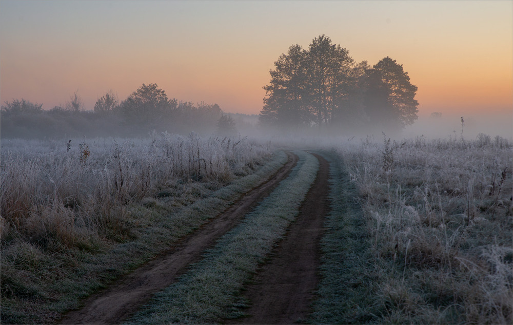 Фотографія *** / Микола Шахманцір / photographers.ua