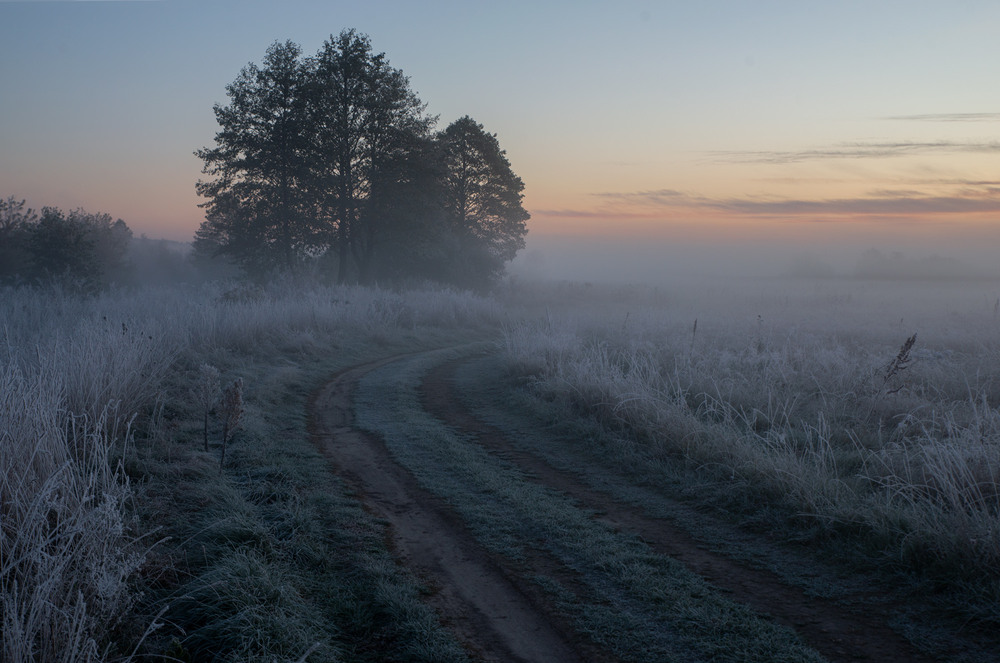 Фотографія *** / Микола Шахманцір / photographers.ua