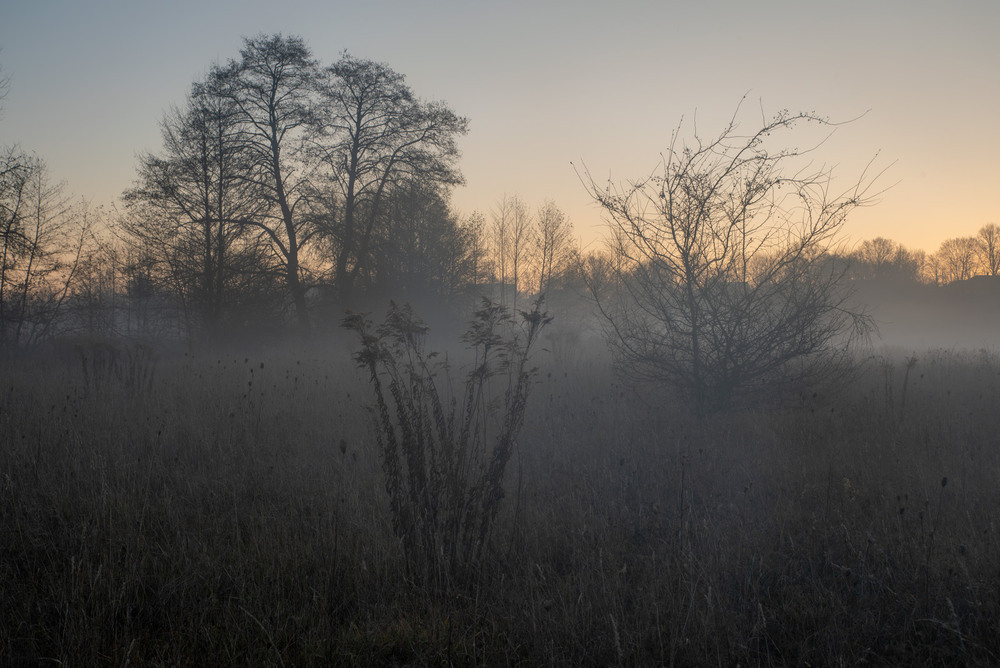 Фотографія *** / Микола Шахманцір / photographers.ua