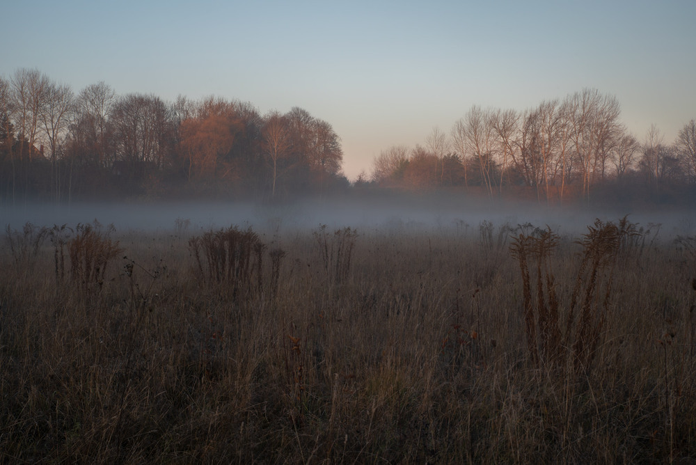 Фотографія **** / Микола Шахманцір / photographers.ua