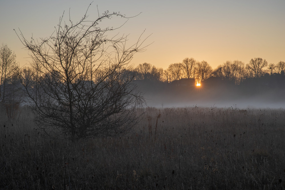 Фотографія *** / Микола Шахманцір / photographers.ua