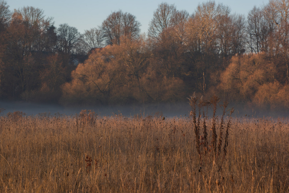 Фотографія *** / Микола Шахманцір / photographers.ua