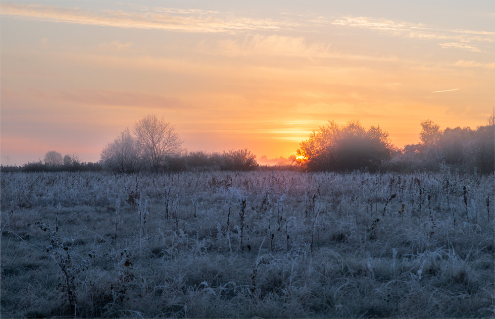 Фотографія * * * / Микола Шахманцір / photographers.ua