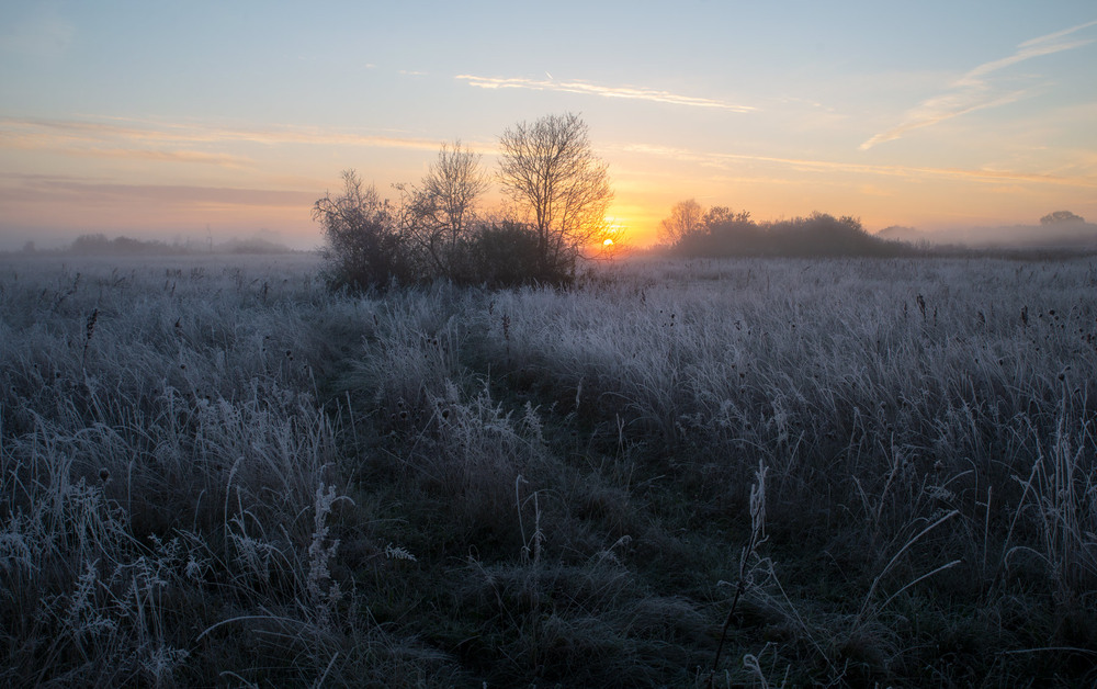 Фотографія * * * / Микола Шахманцір / photographers.ua
