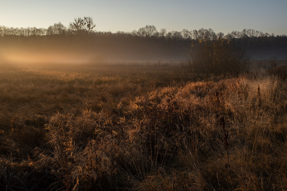 Фотографія **** / Микола Шахманцір / photographers.ua