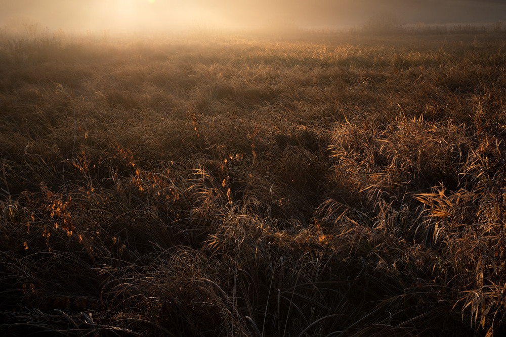 Фотографія *** / Микола Шахманцір / photographers.ua