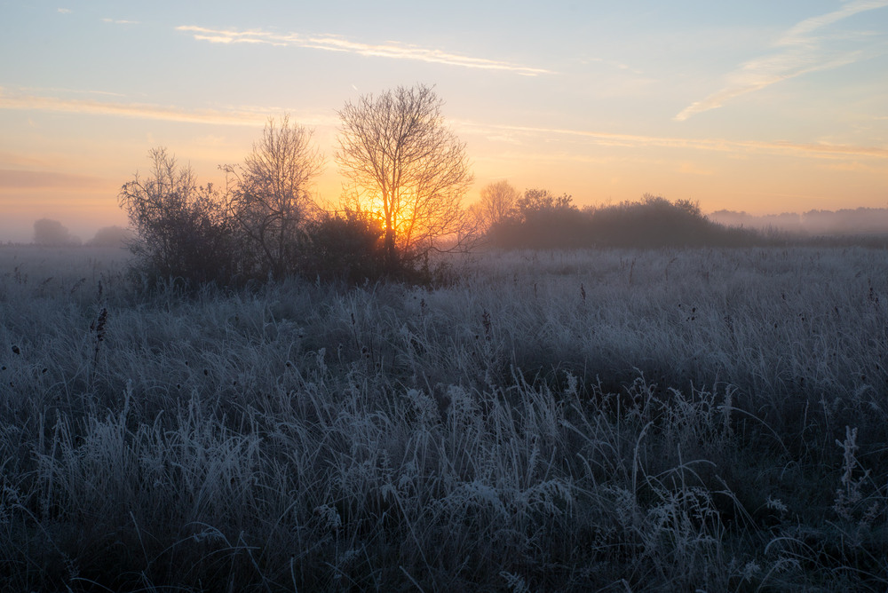 Фотографія *** / Микола Шахманцір / photographers.ua