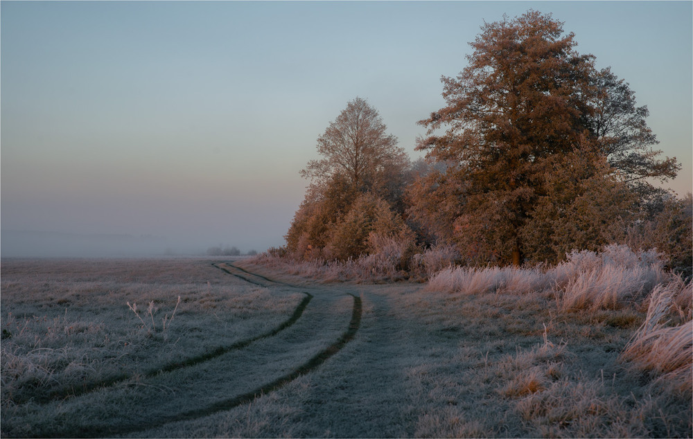 Фотографія *** / Микола Шахманцір / photographers.ua