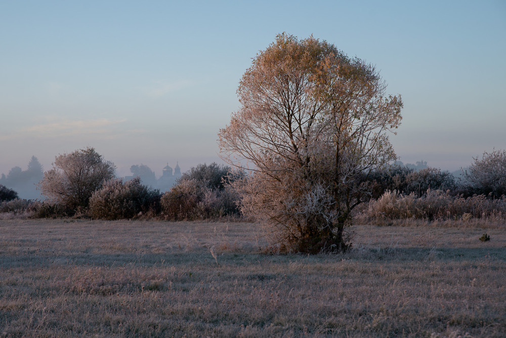 Фотографія *** / Микола Шахманцір / photographers.ua