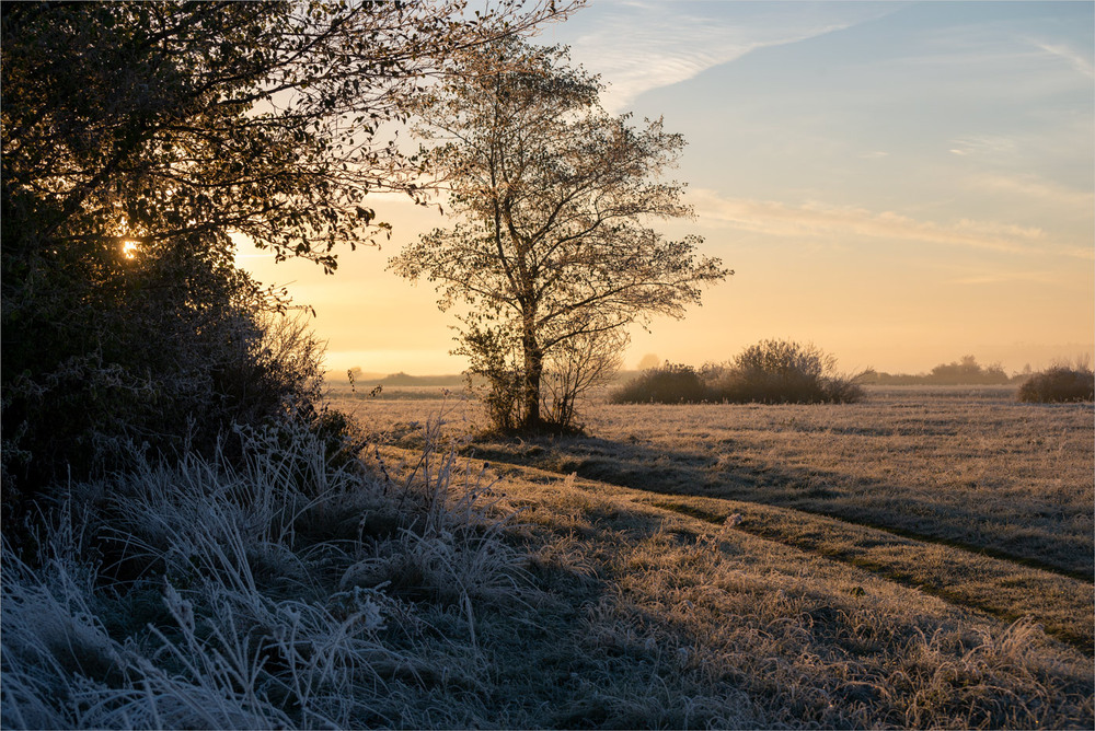 Фотографія *** / Микола Шахманцір / photographers.ua