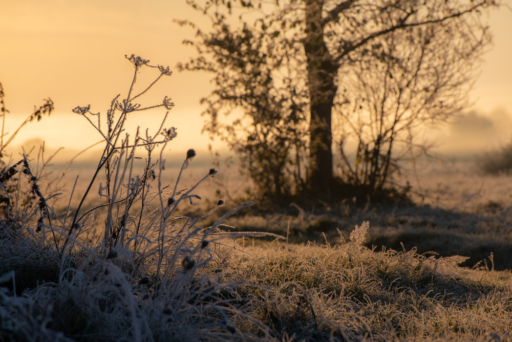 Фотографія *** / Микола Шахманцір / photographers.ua
