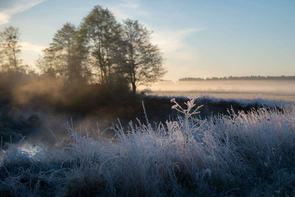 Фотографія *** / Микола Шахманцір / photographers.ua