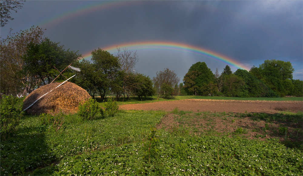Фотографія після дощику... / Микола Шахманцір / photographers.ua