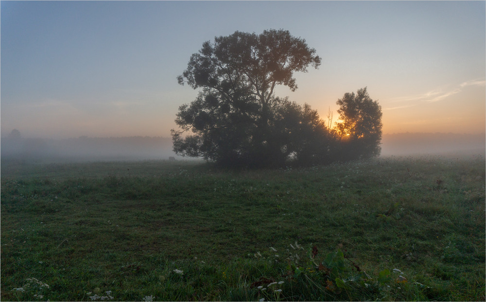 Фотографія * * * / Микола Шахманцір / photographers.ua