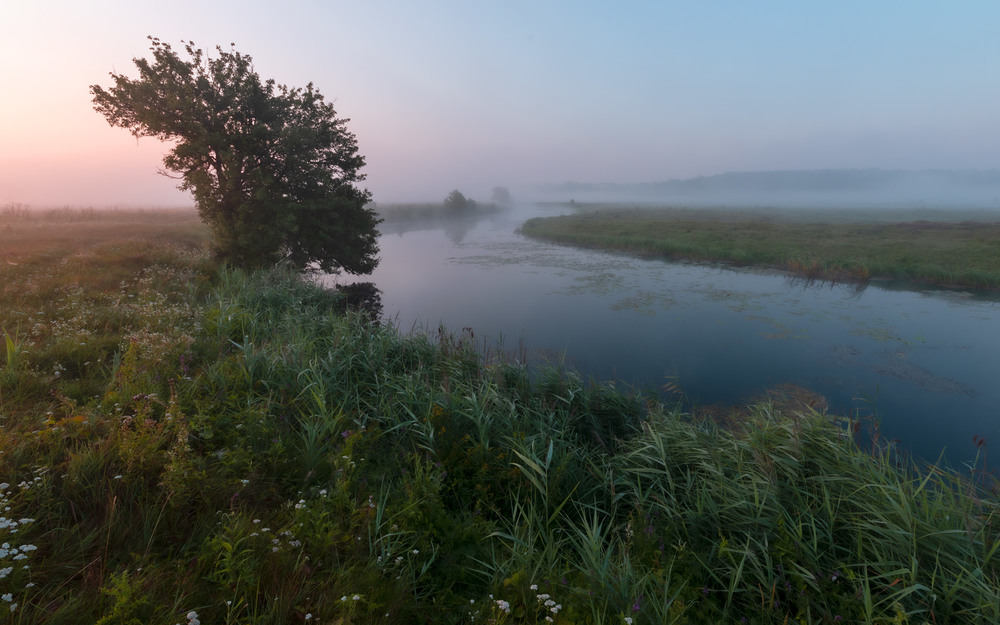 Фотографія ***** / Микола Шахманцір / photographers.ua