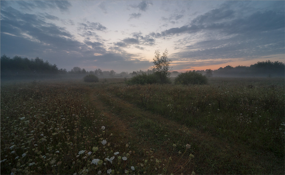 Фотографія а завтра, була осінь... / Микола Шахманцір / photographers.ua