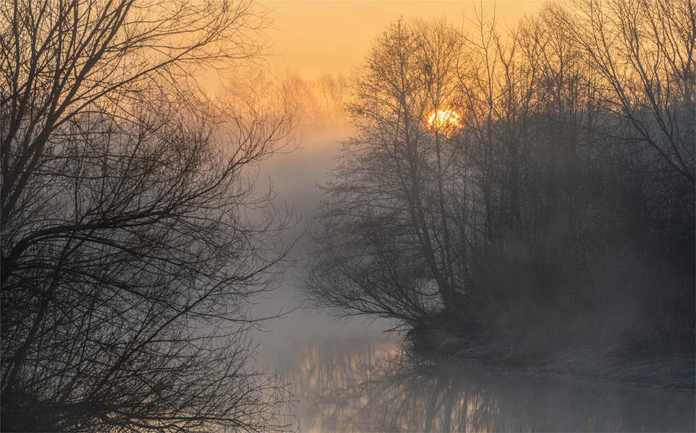 Фотографія * * * / Микола Шахманцір / photographers.ua