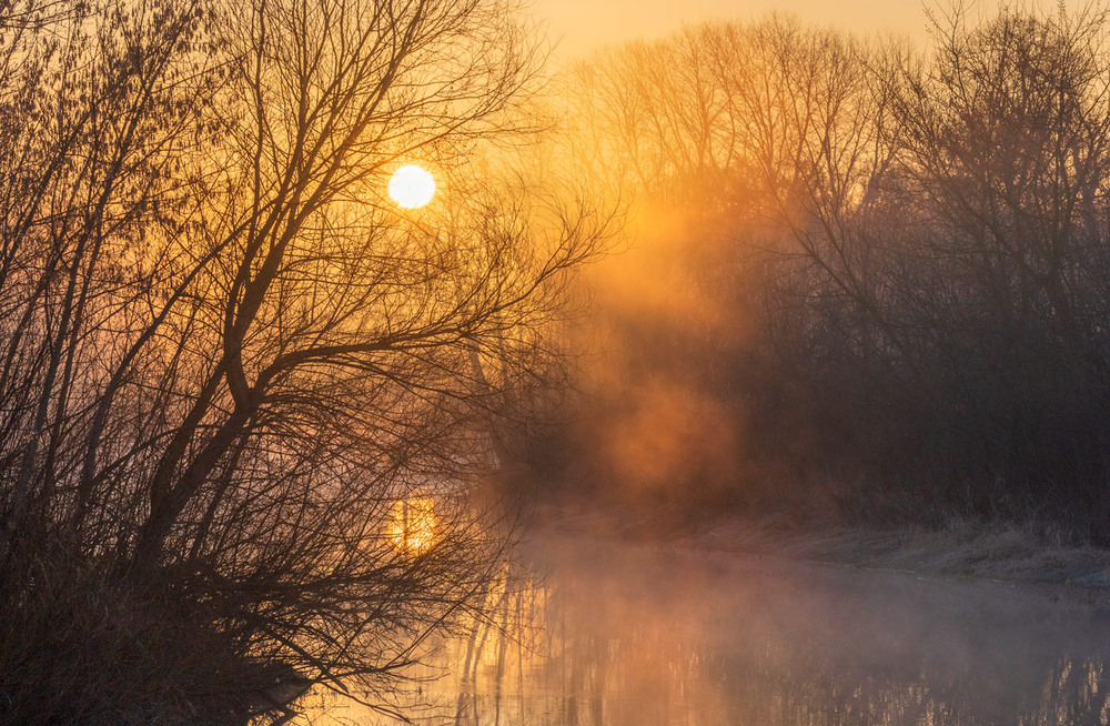Фотографія сонце березня / Микола Шахманцір / photographers.ua