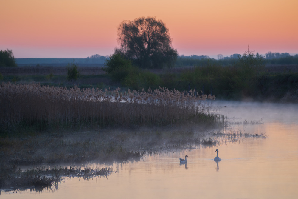 Фотографія весна на Горині / Микола Шахманцір / photographers.ua