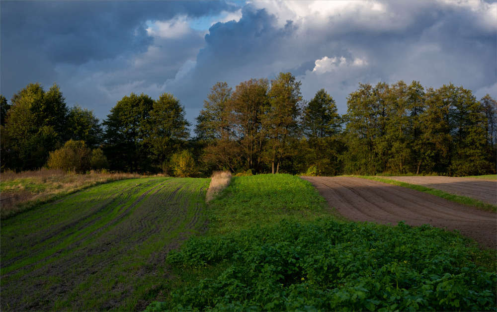 Фотографія за селом... / Микола Шахманцір / photographers.ua