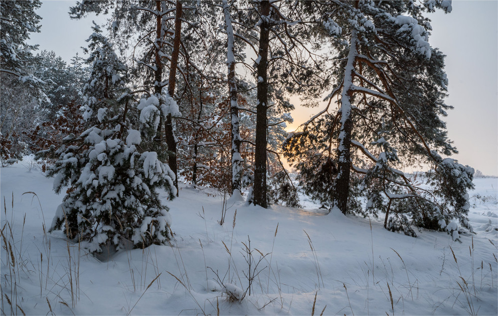 Фотографія *** / Микола Шахманцір / photographers.ua