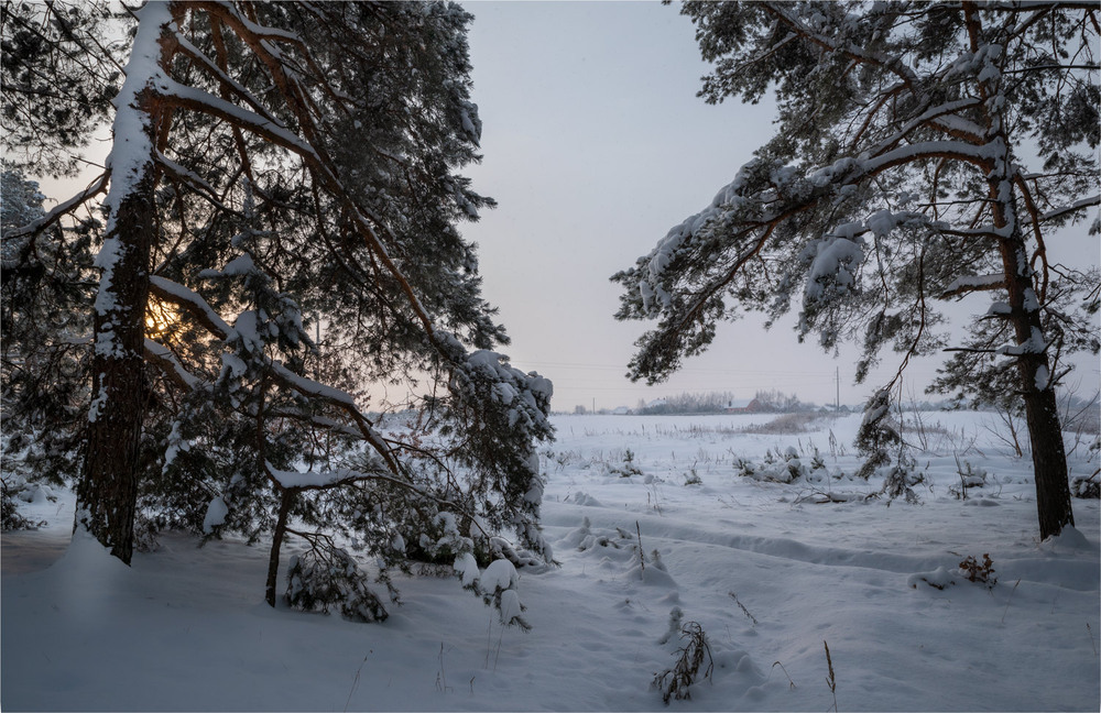 Фотографія ** ** / Микола Шахманцір / photographers.ua