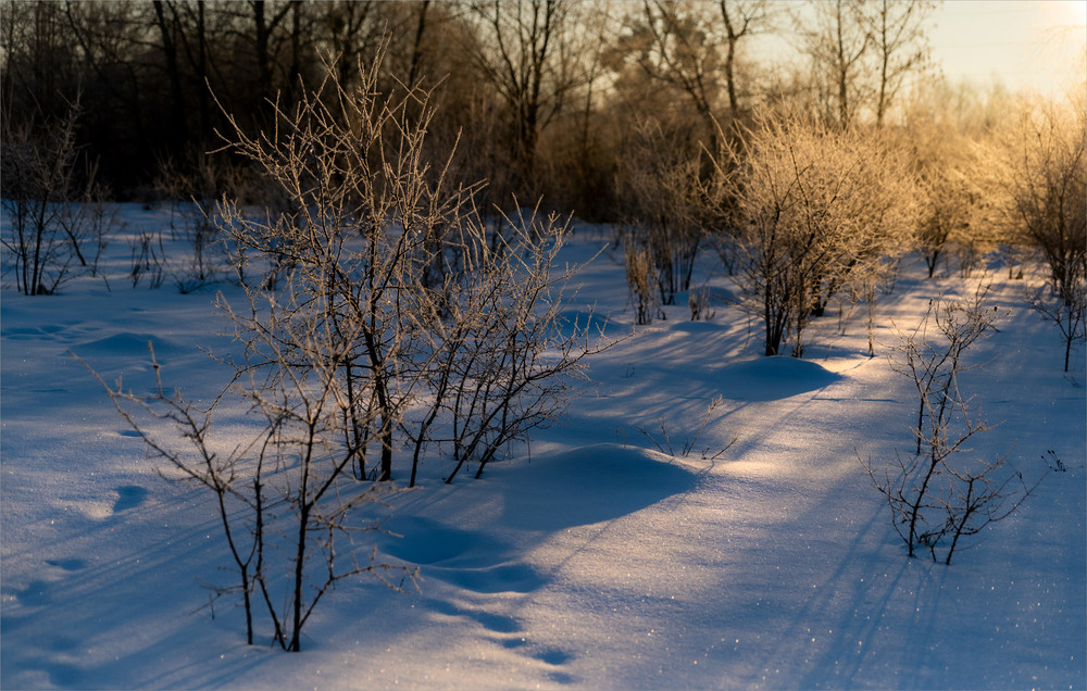 Фотографія *** / Микола Шахманцір / photographers.ua