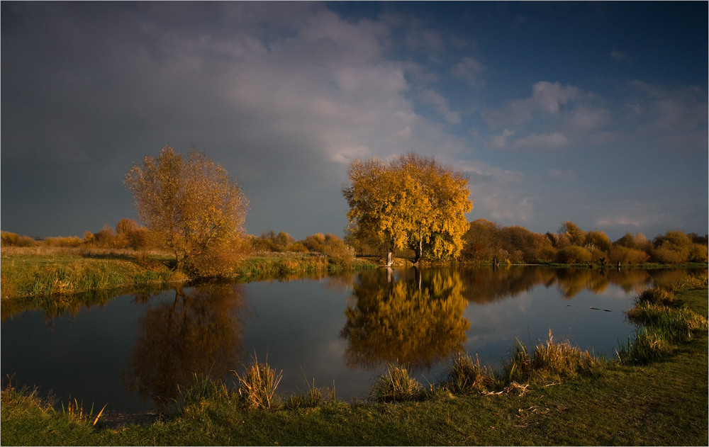 Фотографія купалась осінь в золоті... / Микола Шахманцір / photographers.ua