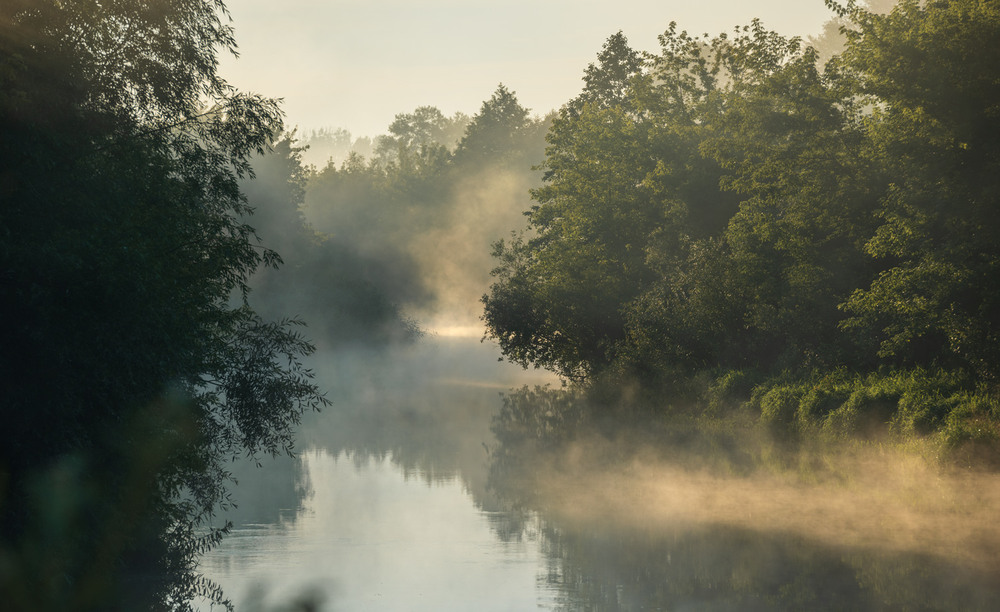 Фотографія * * * / Микола Шахманцір / photographers.ua